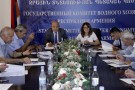 Տեխնիկական հանձնաժողովը պետք է վերադառնա ակտիվ օրակարգ. Ինեսսա Գաբայան